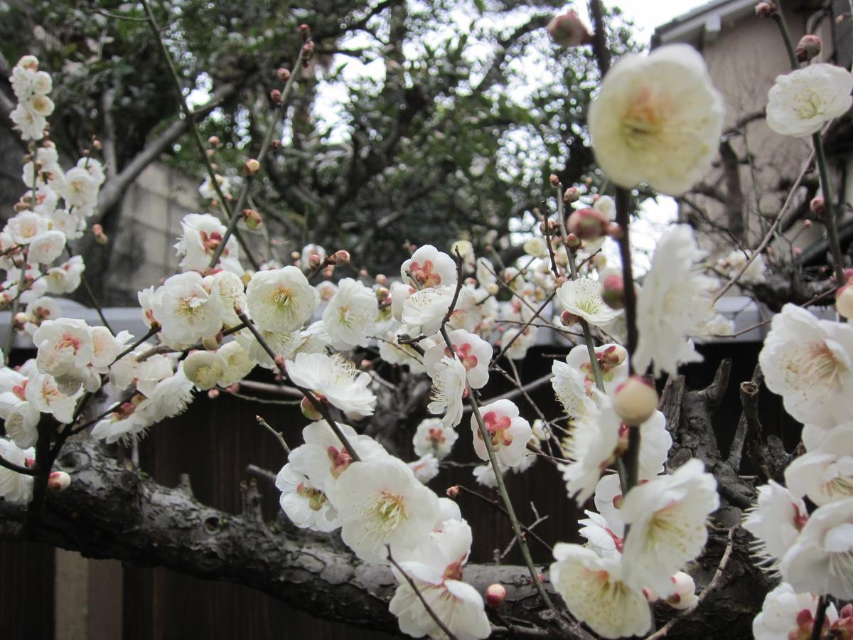 Hotel Yadoya Nishijinso Kyōto Exterior foto