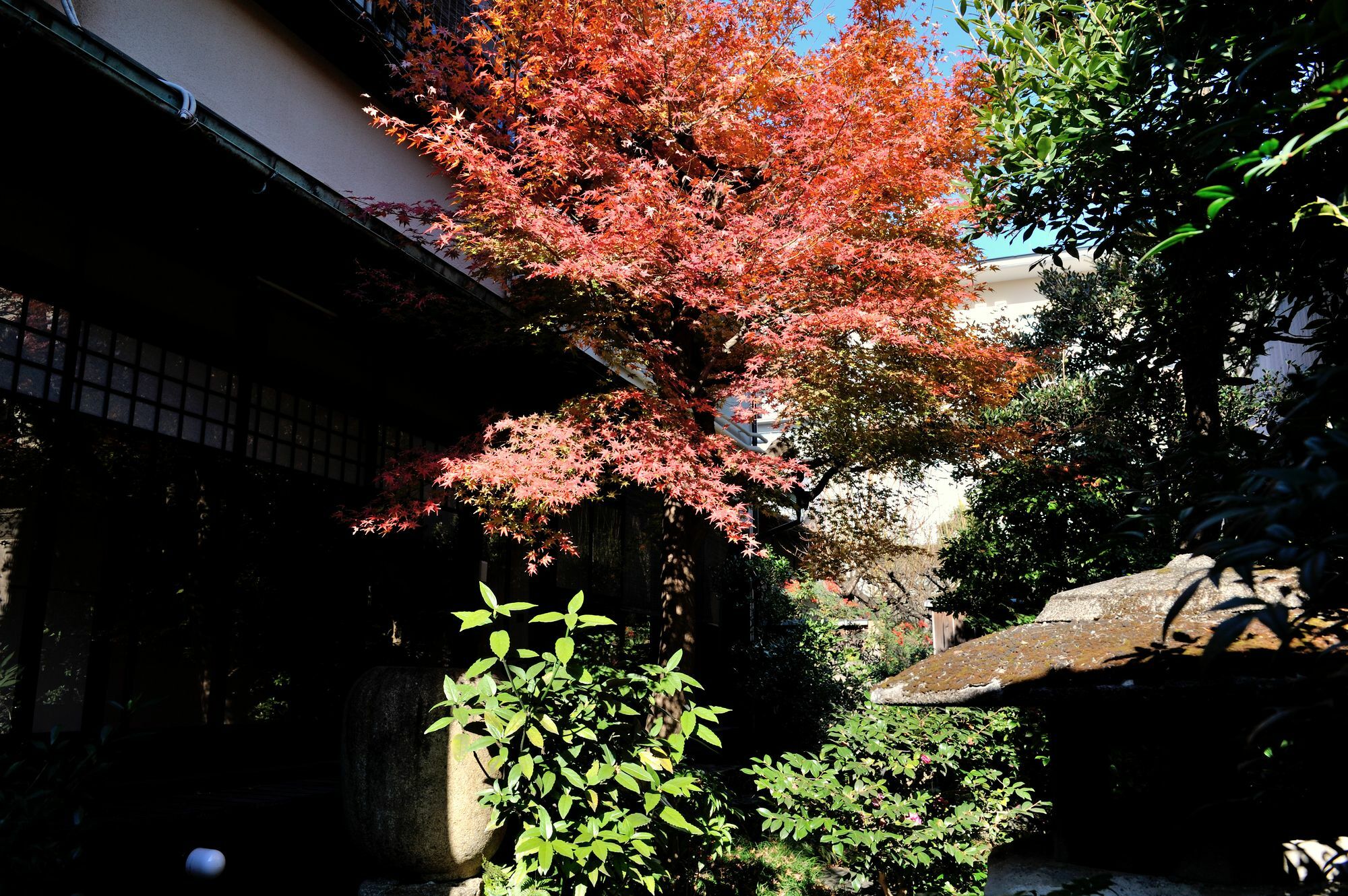 Hotel Yadoya Nishijinso Kyōto Exterior foto